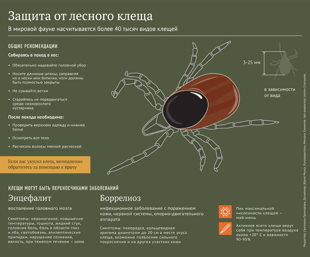 Защита от лесного клеща - Sputnik Литва