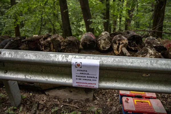 Sprogmenų lobis: Kaune kelias dienas vyko bombų neutralizavimo operacija Sprogmenų lobis: Kaune kelias dienas vyko bombų neutralizavimo operacija - Sputnik Lietuva