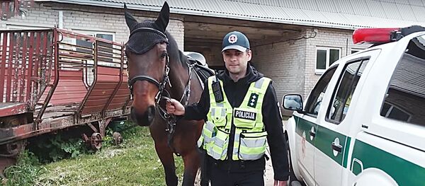 О главном полицейском коне - Люксе - Sputnik Lietuva