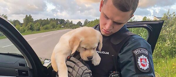 Полицейский держит собаку на руках Полицейский держит собаку на руках - Sputnik Lietuva
