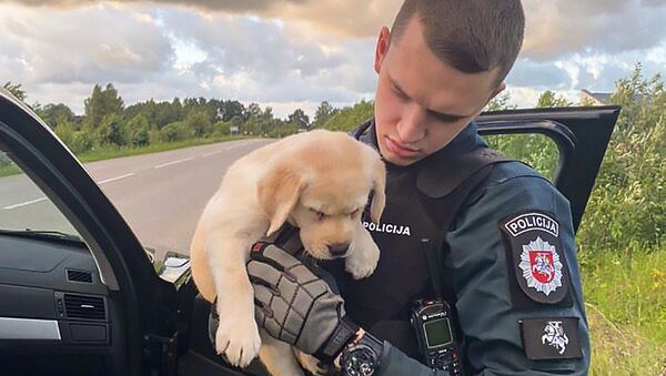 Полицейский держит собаку на руках - Sputnik Lietuva