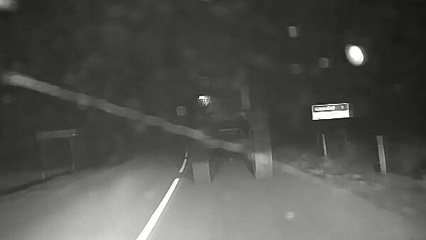 Neblaivus traktoriaus vairuotojas mėgino pasprukti nuo policijos — video - Sputnik Lietuva