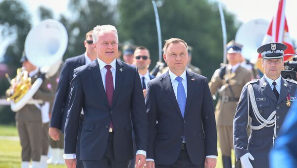 Встреча президента Литвы Гитанаса Науседы и президента Польши Анджея Дуды, 15 июля 2020 года - Sputnik Литва