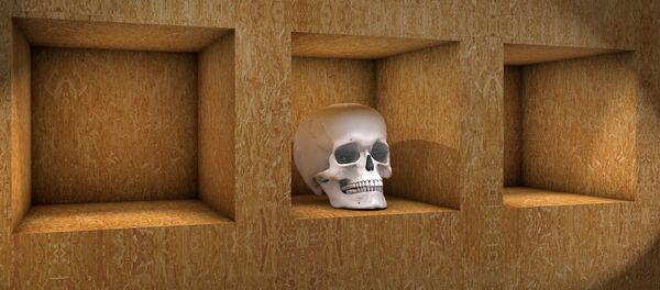 Череп - Sputnik Литва