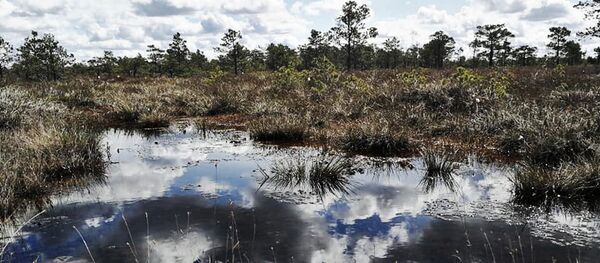 Žuvinto biosferos rezervatas Žuvinto biosferos rezervatas - Sputnik Lietuva