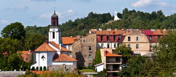 Вид Вильнюса - Sputnik Литва