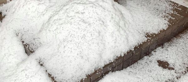 Выпавший град выглядит как снег Выпавший град выглядит как снег - Sputnik Литва