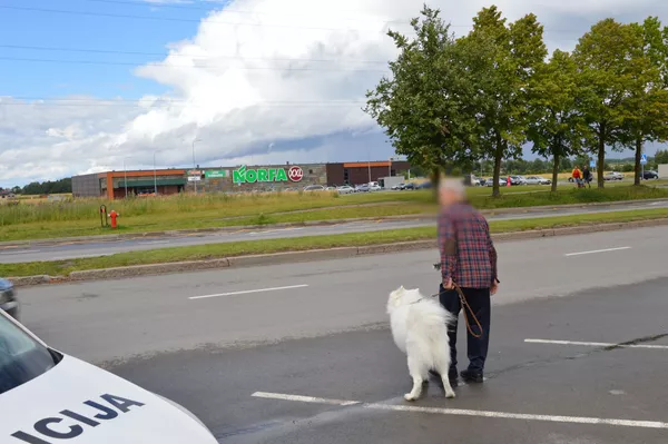 Kaip po savo kiemą: Šiaulių policija parodė, kaip pėstieji kerta važiuojamąją dalį Kaip po savo kiemą: Šiaulių policija parodė, kaip pėstieji kerta važiuojamąją dalį - Sputnik Lietuva