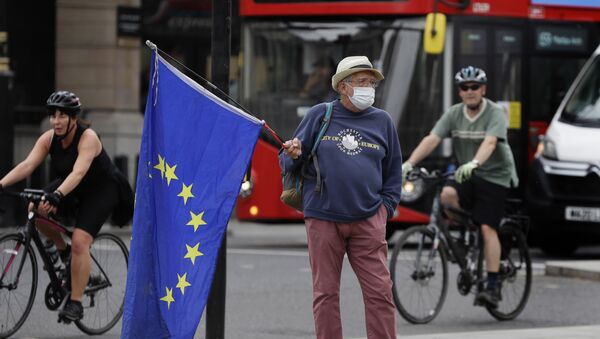 Участник кампании против Brexit стоит под флагом Европейского Союза у здания парламента в Лондоне - Sputnik Литва