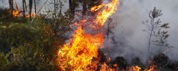 Тушение пожаров Тушение пожаров - Sputnik Литва