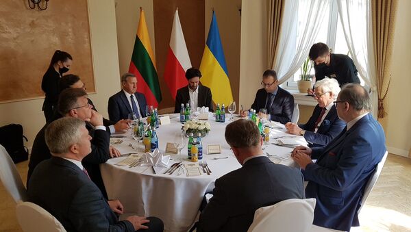 Глава МИД Литвы Линас Линкявичюс на встрече с польским и украинским коллегами в Люблино, 28 июля 2020 года - Sputnik Литва