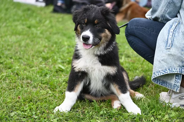frisbee čempionatas Vilniuje