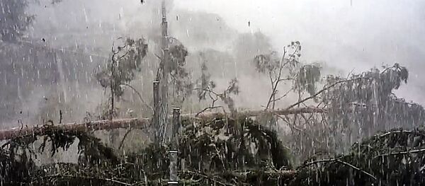 Торнадо на границе Литвы и Белоруссии - Sputnik Литва