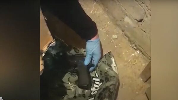 Lietuvos policija vaizdo įraše parodė ginklus, konfiskuotus iš įtariamųjų nužudymu - Sputnik Lietuva