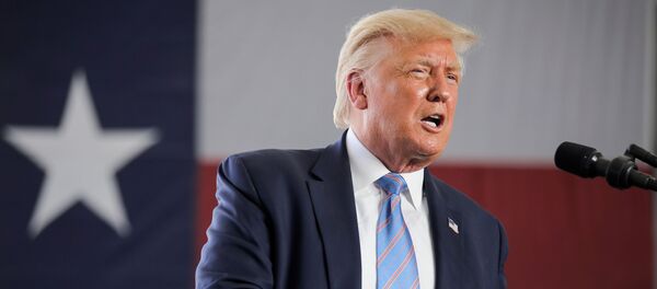 Президент США Дональд Трамп Президент США Дональд Трамп - Sputnik Lietuva