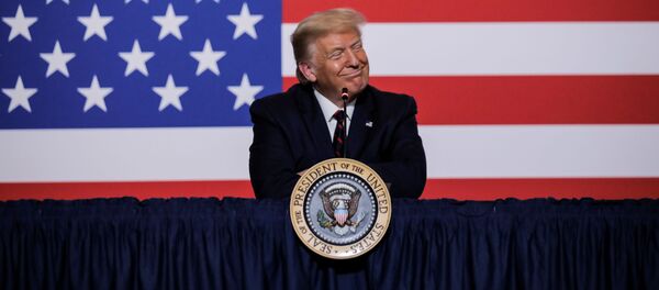 Президент США Дональд Трамп Президент США Дональд Трамп - Sputnik Lietuva