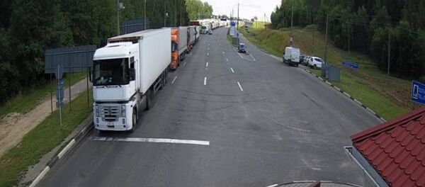 Очереди из фур в погранпункте Каменный Лог на литовско-белорусской границе, 1 августа 2020 года Очереди из фур в погранпункте Каменный Лог на литовско-белорусской границе, 1 августа 2020 года - Sputnik Lietuva