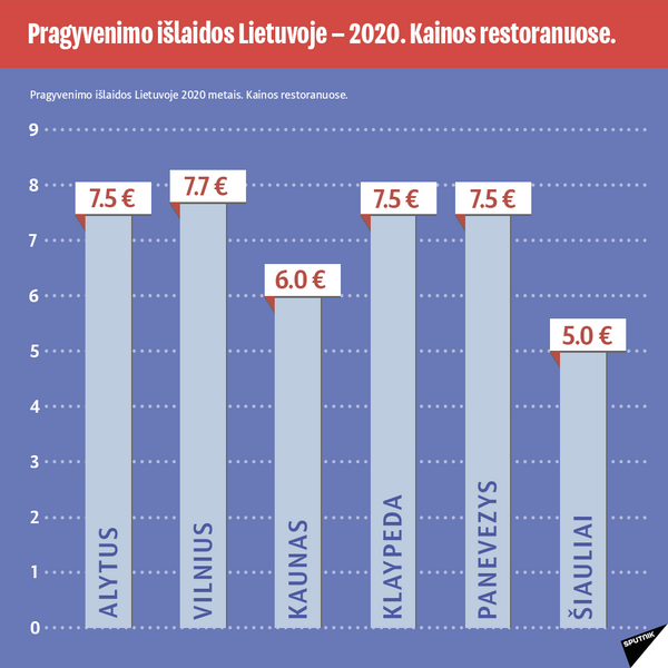 Pragyvenimo išlaidų statistika Lietuvos Respublikoje — 2020-3 - Sputnik Lietuva
