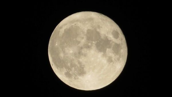 Erškėtinis mėnulis: Žemės gyventojai pamatė paskutinę vasaros pilnatį - Sputnik Lietuva
