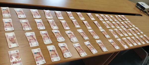 Контрабанда наличных в Мядининкае, архивное фото Контрабанда наличных в Мядининкае, архивное фото - Sputnik Литва