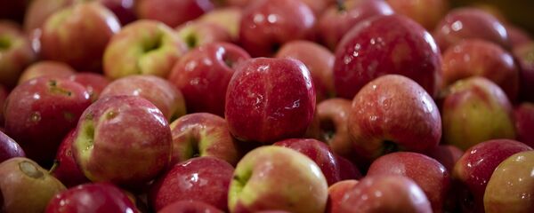 Яблоки после дождя - Sputnik Литва