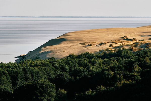 Вид на дюны с высоты Эфа в национальном парке Куршская коса в Калининградской области - Sputnik Литва