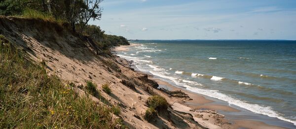 Песчаный берег в национальном парке Куршская коса в Калининградской области Песчаный берег в национальном парке Куршская коса в Калининградской области - Sputnik Lietuva