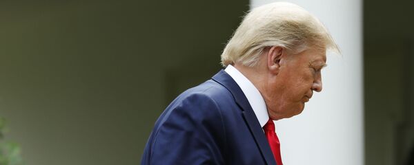 Президент США Дональд Трамп, архивное фото - Sputnik Литва