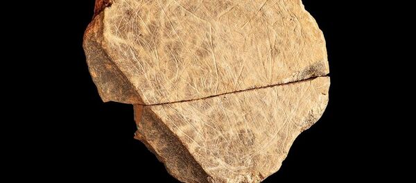 Britų archeologų rasti meno kūriniai Britų archeologų rasti meno kūriniai - Sputnik Lietuva