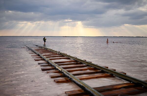 Отдыхающие на соленом озере Бурлинское в Славгородском районе Алтайского края - Sputnik Литва