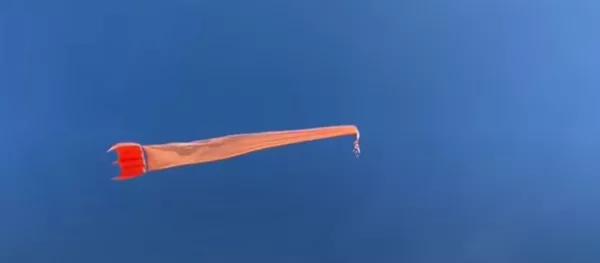 Aitvaras į dangų nunešė trejų metų mergaitę Taivane - Sputnik Lietuva