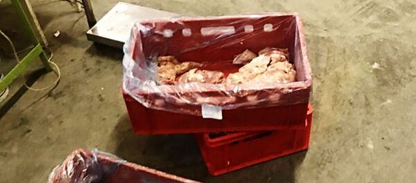 В Литве раскрыли сеть нелегальных торговцев курятиной - Sputnik Литва