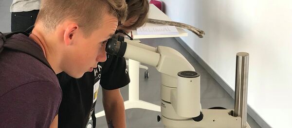 Mokslo festivalis Mokslo festivalis - Sputnik Lietuva