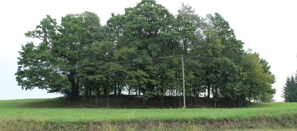 Šiemulių kaimas - Sputnik Lietuva