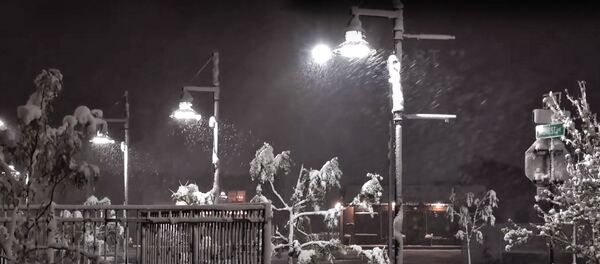 Осенний снегопад в США Осенний снегопад в США - Sputnik Lietuva