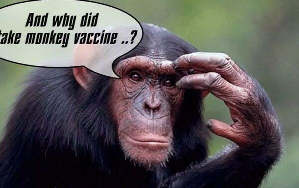 Karikatūros apie beždžionių vakciną - Sputnik Lietuva