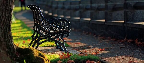 Осенний солнечный день, архивное фото Осенний солнечный день, архивное фото - Sputnik Литва