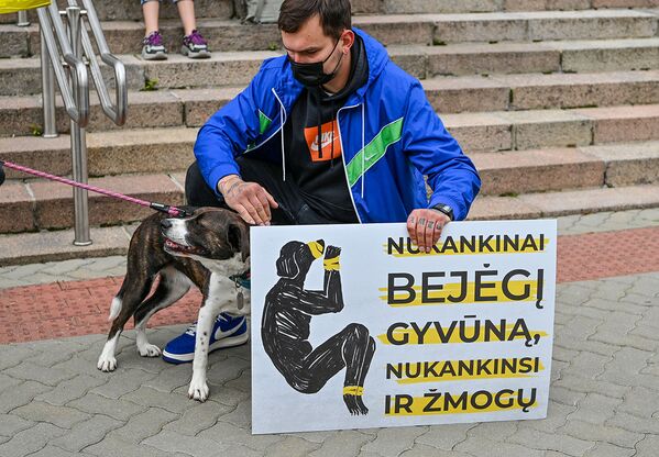 Акция в защиту животных в Вильнюсе - Sputnik Литва
