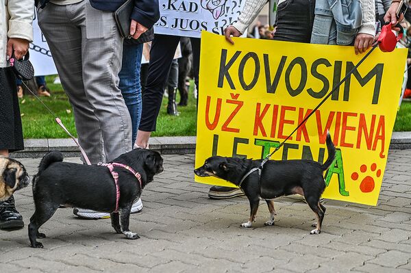 Акция в защиту животных в Вильнюсе - Sputnik Lietuva