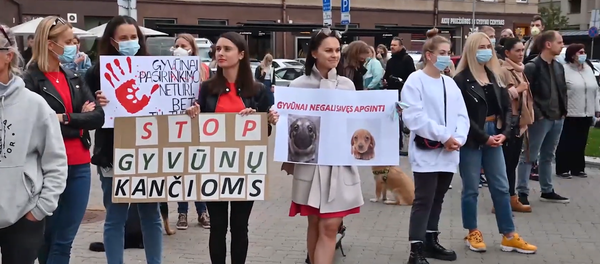 Спасем животных из ада: в Вильнюсе прошел митинг зоозащитников - Sputnik Литва