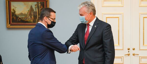 Встреча президента Литвы Гитанаса Науседы и премьера Польши Матеуша Моравецкого Встреча президента Литвы Гитанаса Науседы и премьера Польши Матеуша Моравецкого - Sputnik Литва