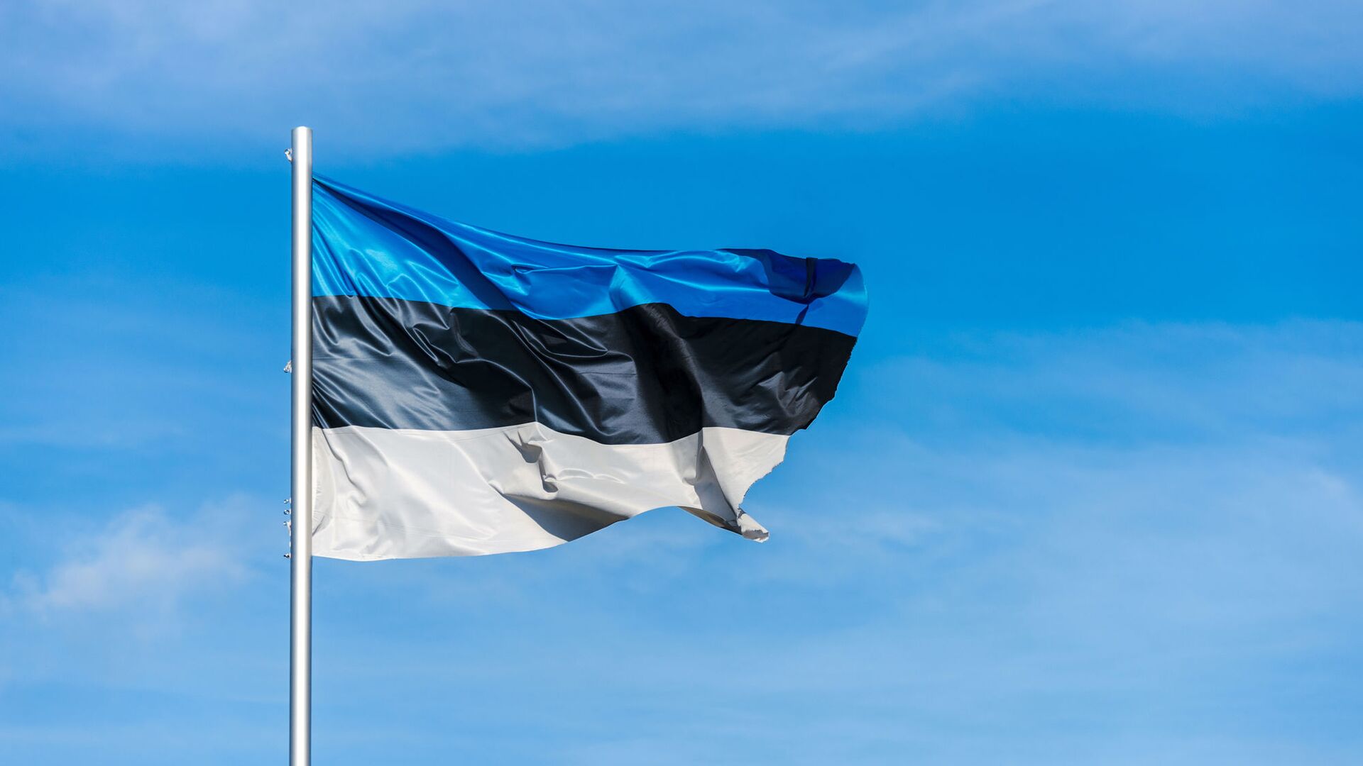 Эстонский флаг - Sputnik Lietuva, 1920, 22.04.2021