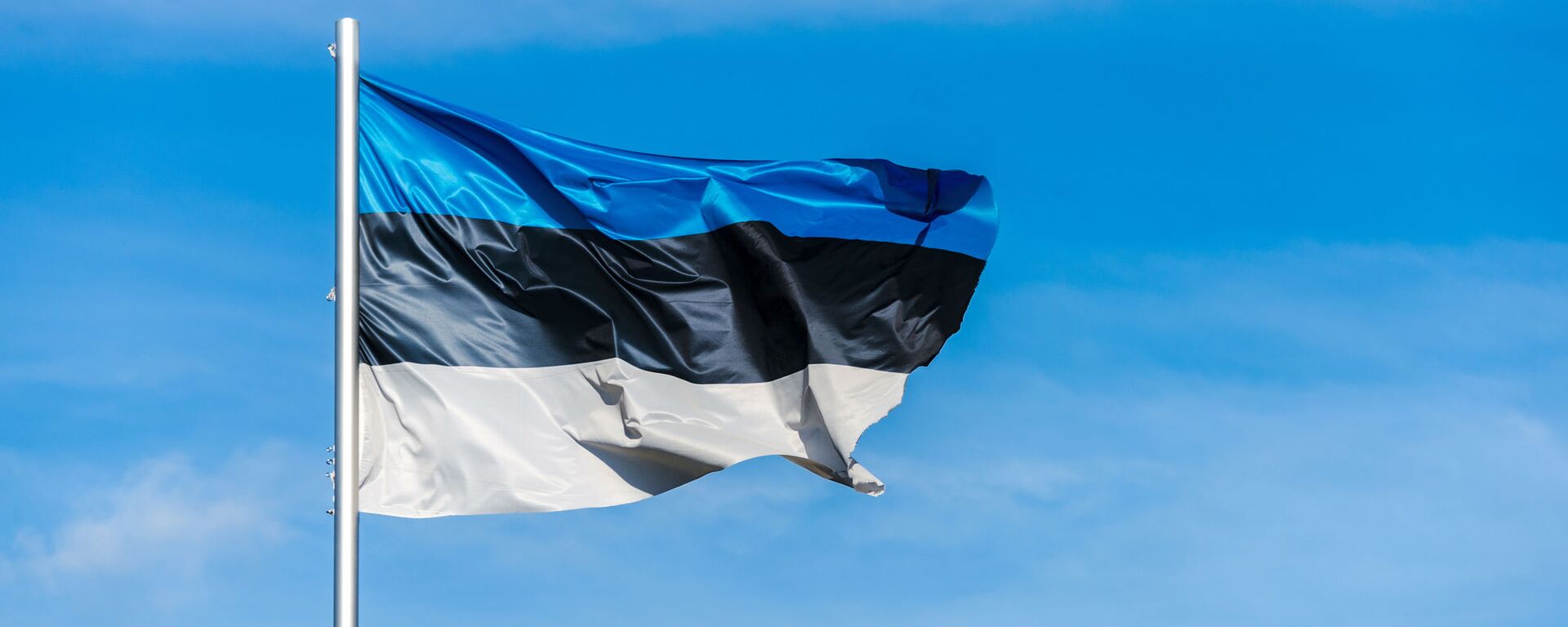 Estijos vėliava - Sputnik Lietuva, 1920, 15.02.2022