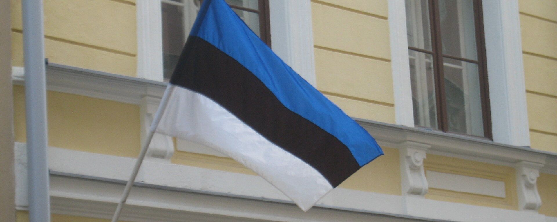 Эстонский флаг - Sputnik Литва, 1920, 21.04.2022