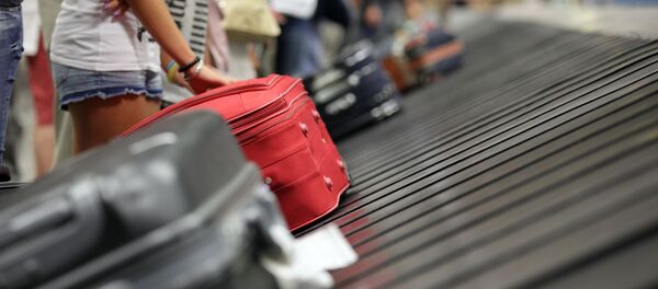 Получение багажа в аэропорту - Sputnik Литва