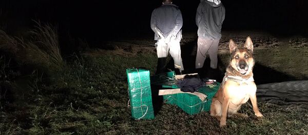 Бельгийская овчарка Джин помогла задержать нарушителей - Sputnik Литва