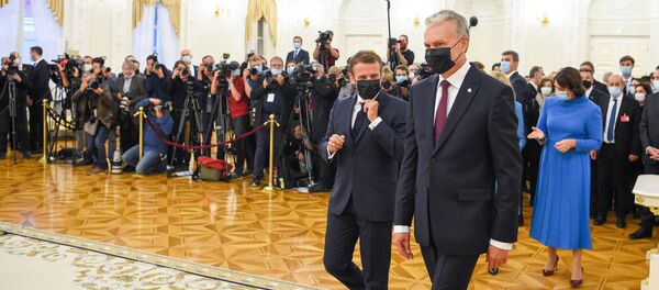 Встреча президента Литвы Гитанаса Науседы с президентом Франции Эмманюэлем Макроном - Sputnik Литва