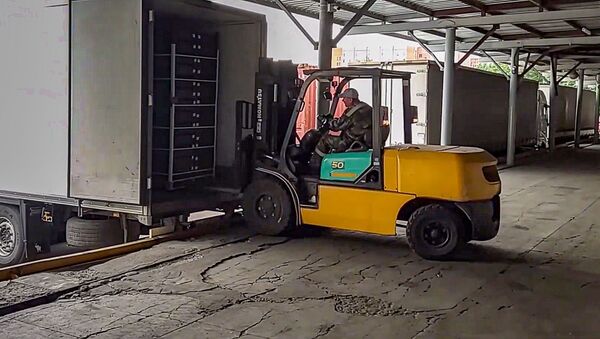 В грузовике-двойнике намеревались переместить из Беларуси в Россию 14 тонн свежих ягод - Sputnik Литва