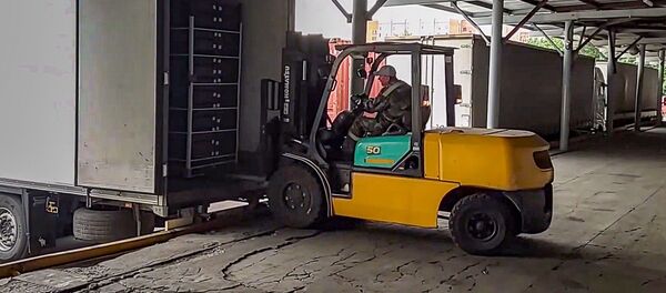 В грузовике-двойнике намеревались переместить из Беларуси в Россию 14 тонн свежих ягод - Sputnik Литва