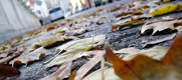 Осень в городе Осень в городе - Sputnik Lietuva